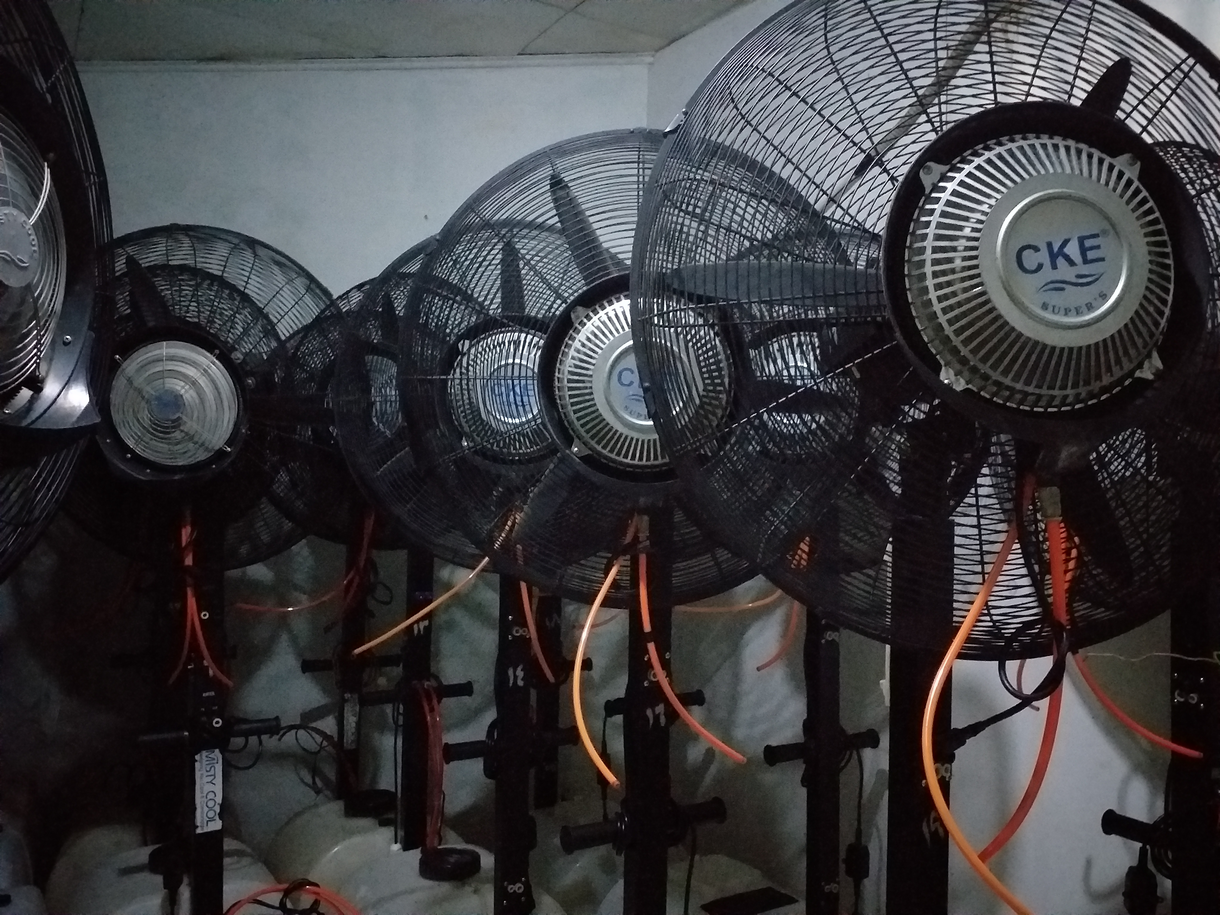 Sewa misty fan di pulo jakarta selatan Wa 081291820537