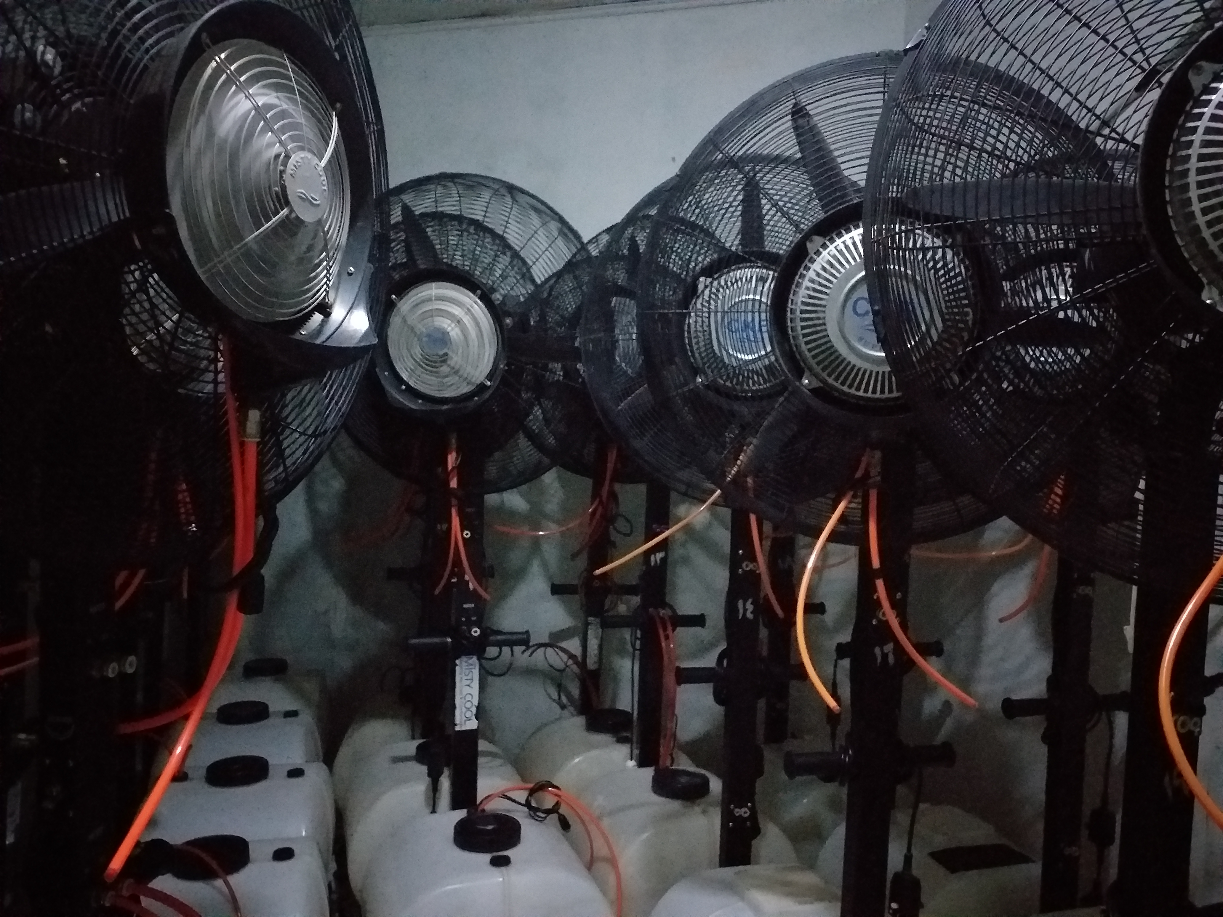 Sewa misty fan di petogogan jakarta selatan Wa 081291820537
