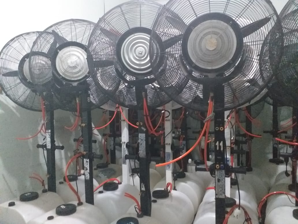 Sewa misty fan di ciganjur jakarta selatan Wa 081291820537