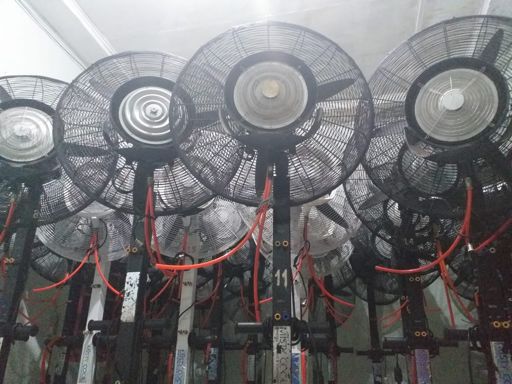 Sewa misty fan di pela mampang, jakarta selatan wa 081291820537