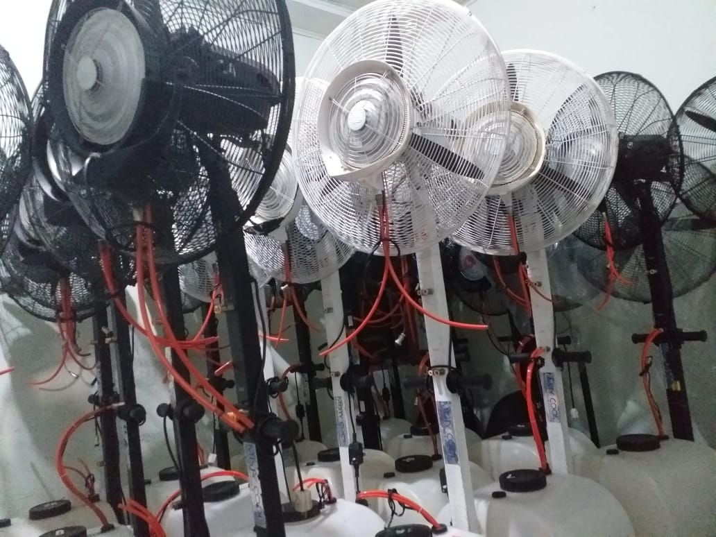 Sewa misty fan di pejaten timur, jakarta selatan Wa 081291820537