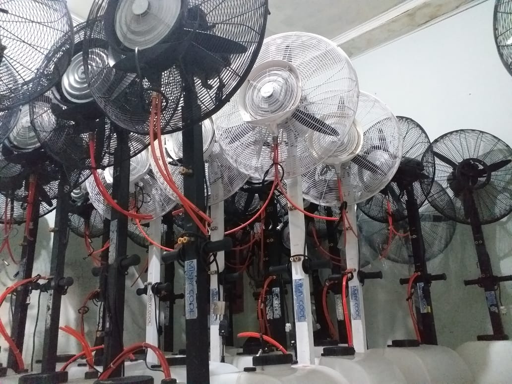 Sewa misty fan di pesanggrahan, jakarta selatan Wa 081291820537
