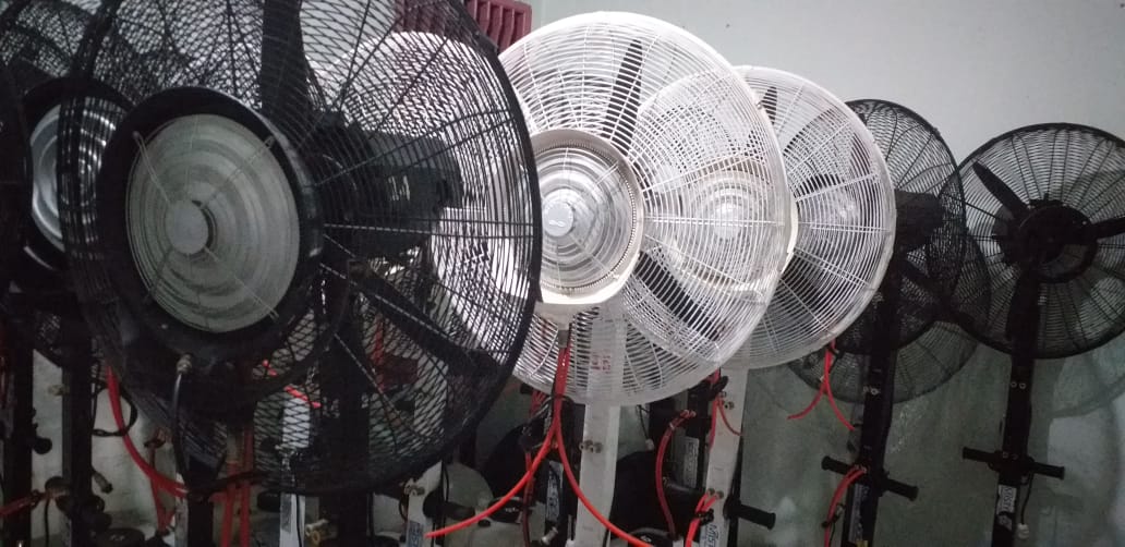 Sewa misty fan di tebet, jakarta selatan Wa 081291820537